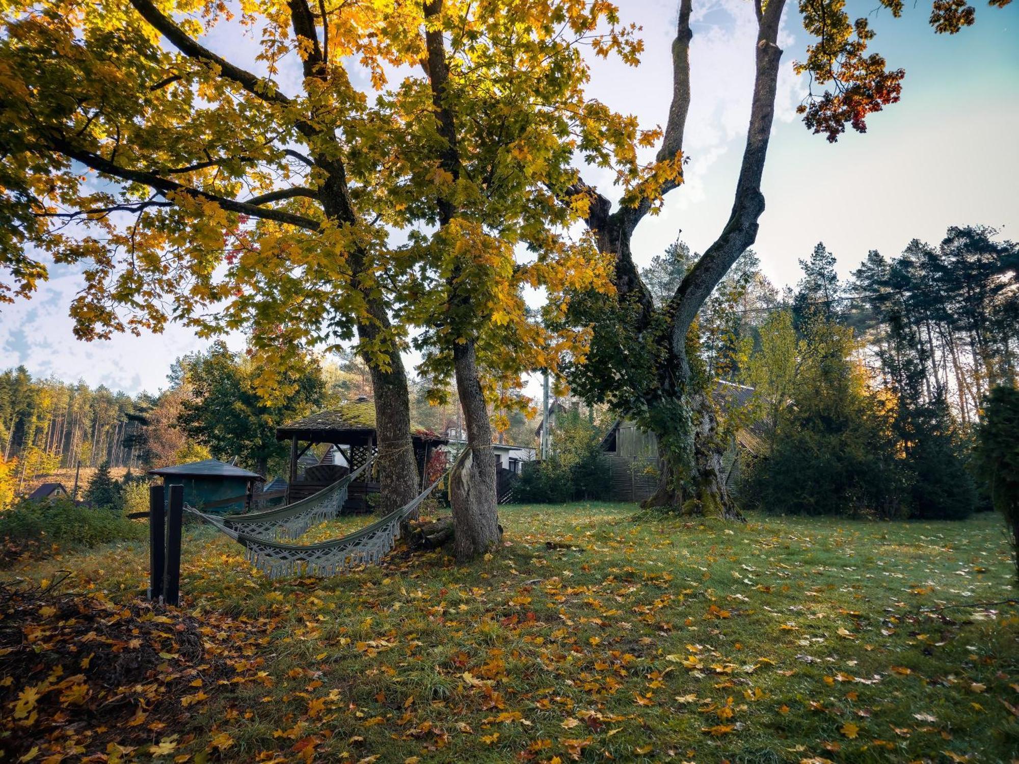 Vila Dom Pod Klonem Na Kaszubach Kościerzyna Exteriér fotografie
