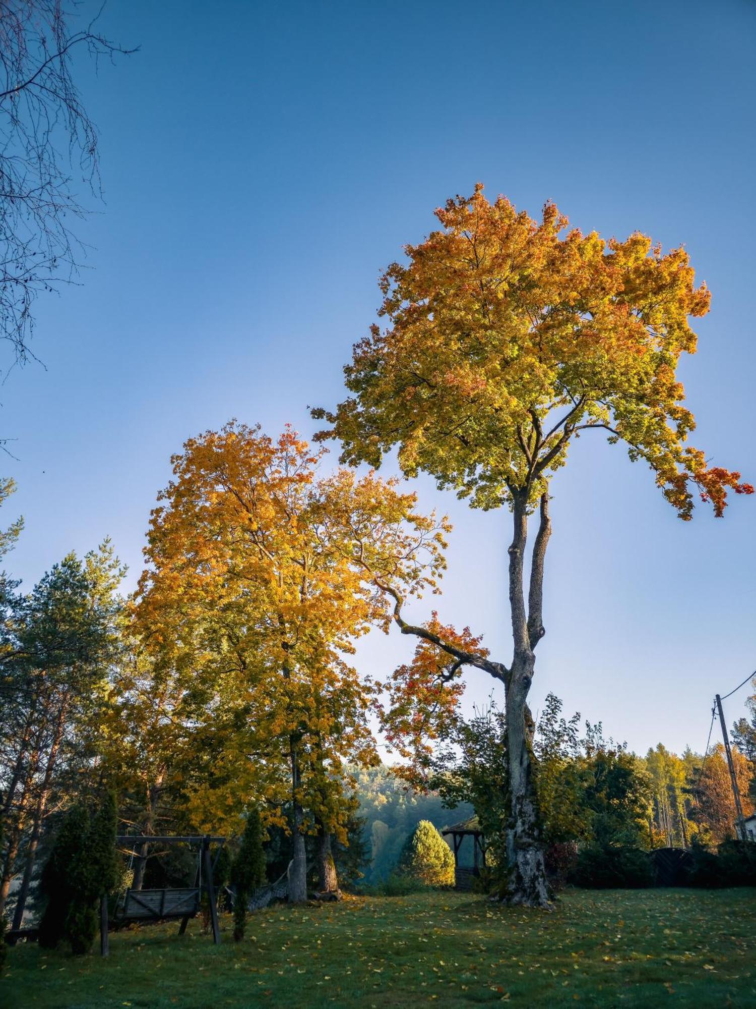 Vila Dom Pod Klonem Na Kaszubach Kościerzyna Exteriér fotografie