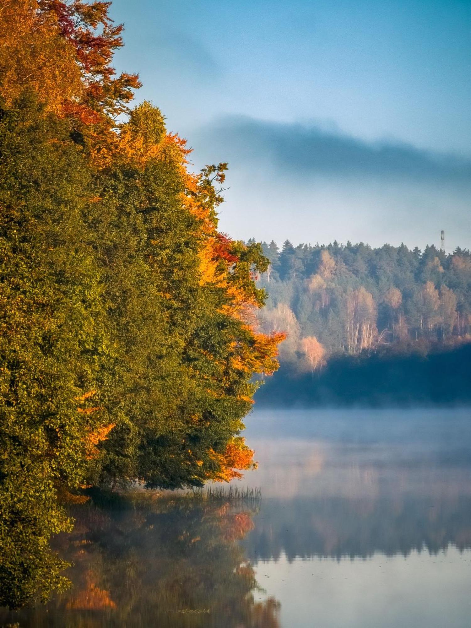 Vila Dom Pod Klonem Na Kaszubach Kościerzyna Exteriér fotografie