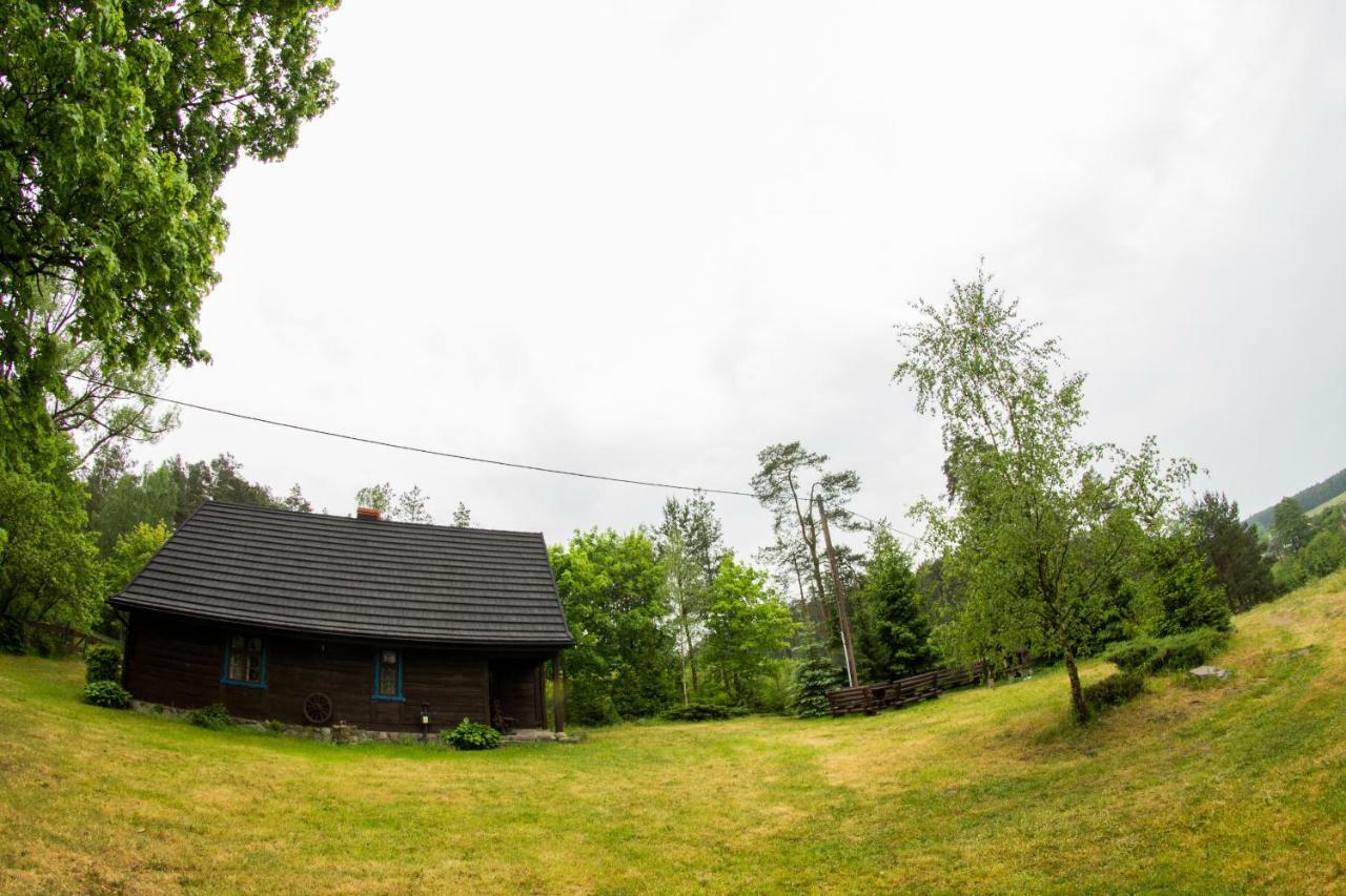 Vila Dom Pod Klonem Na Kaszubach Kościerzyna Exteriér fotografie