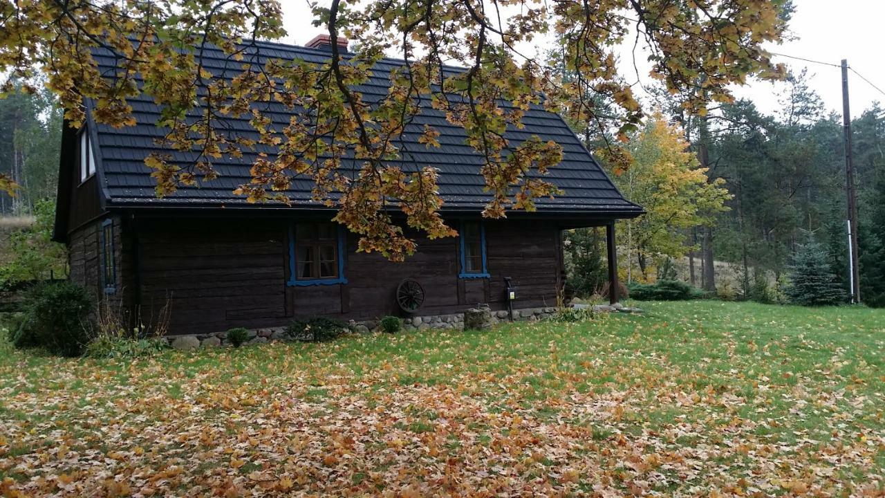 Vila Dom Pod Klonem Na Kaszubach Kościerzyna Exteriér fotografie