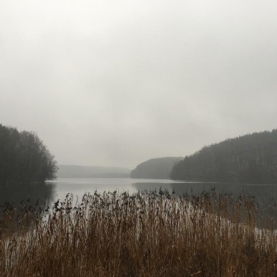 Vila Dom Pod Klonem Na Kaszubach Kościerzyna Exteriér fotografie